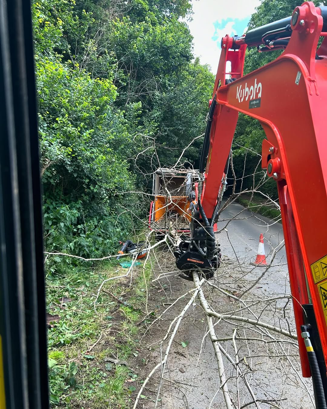 Specialist Deadwood Removal specialists in Reigate