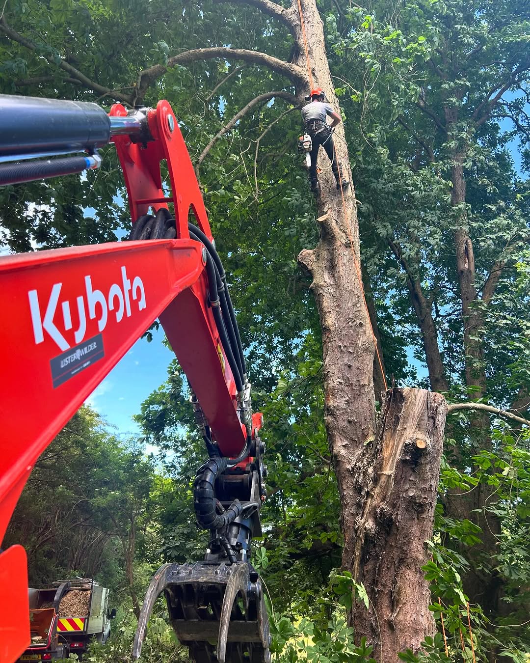 Structural Fencing & Boundary Security specialists in Midhurst