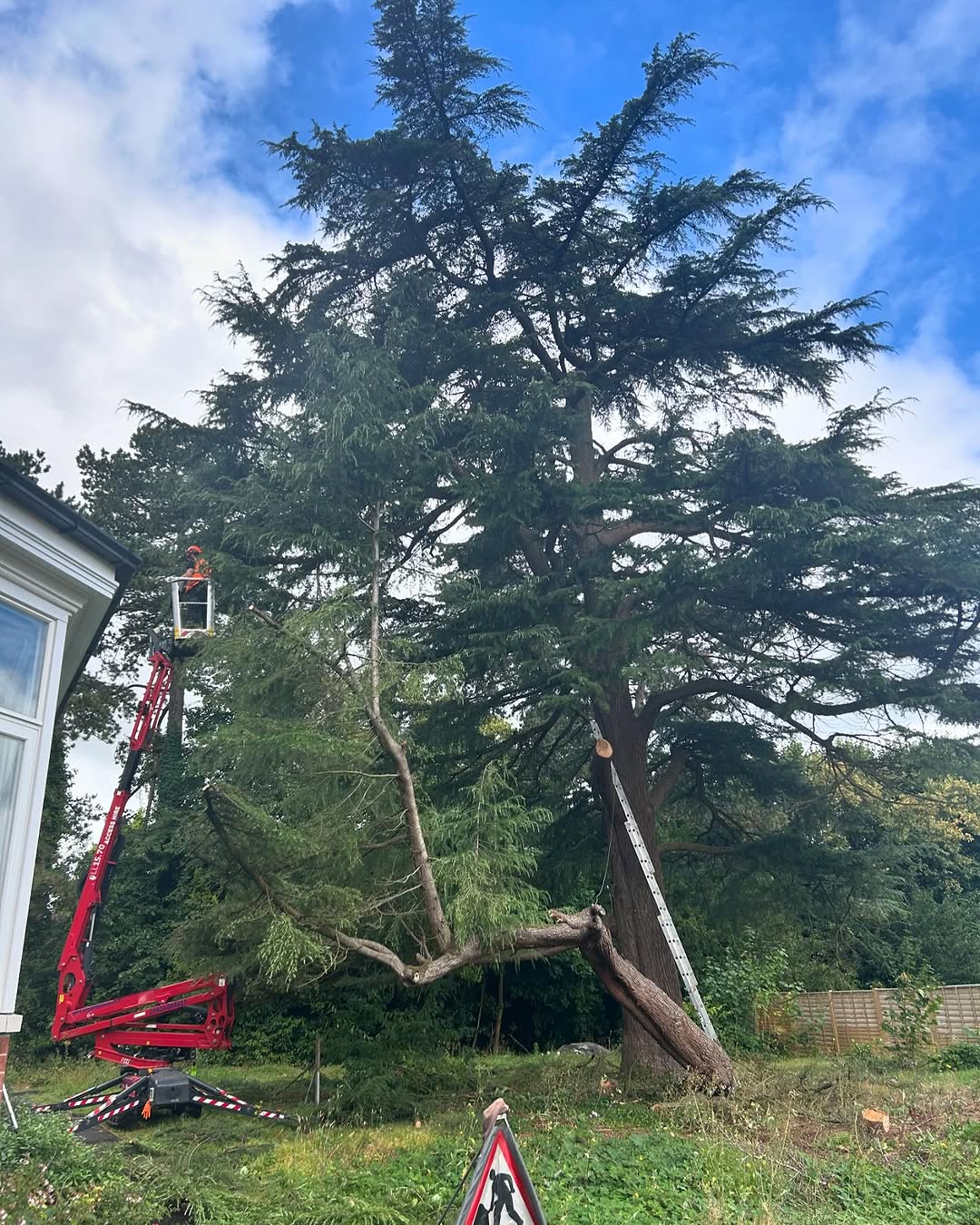 Storm damage tree clearance in Midhurst
