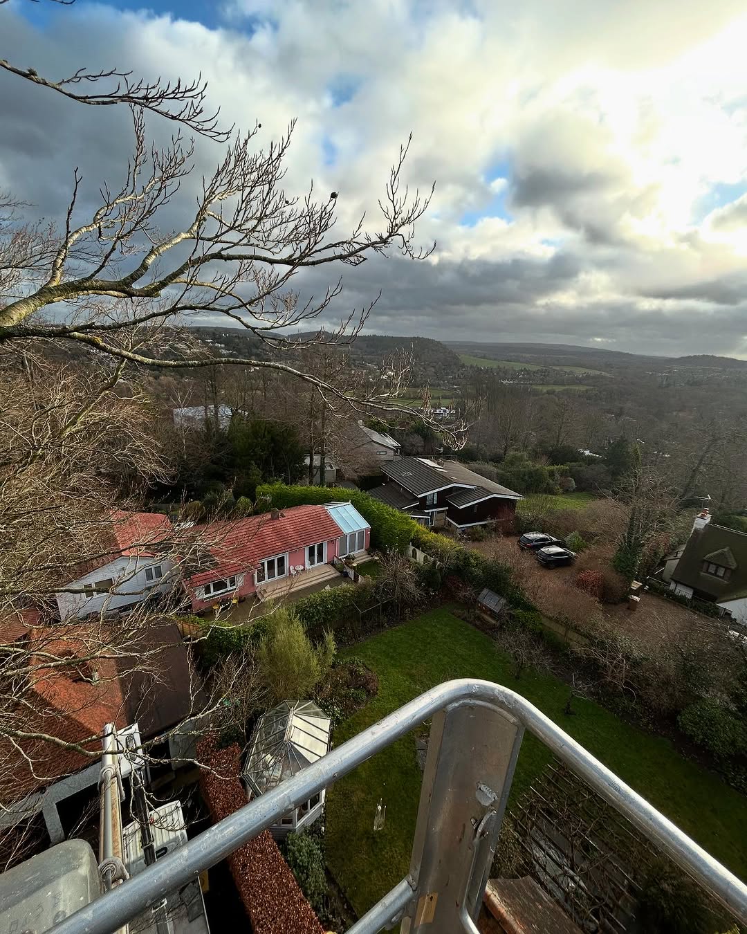 Crown Reshaping & Elite Pruning specialists in Chichester