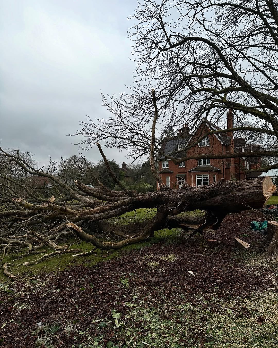 Structural Fencing & Boundary Security specialists in Chichester