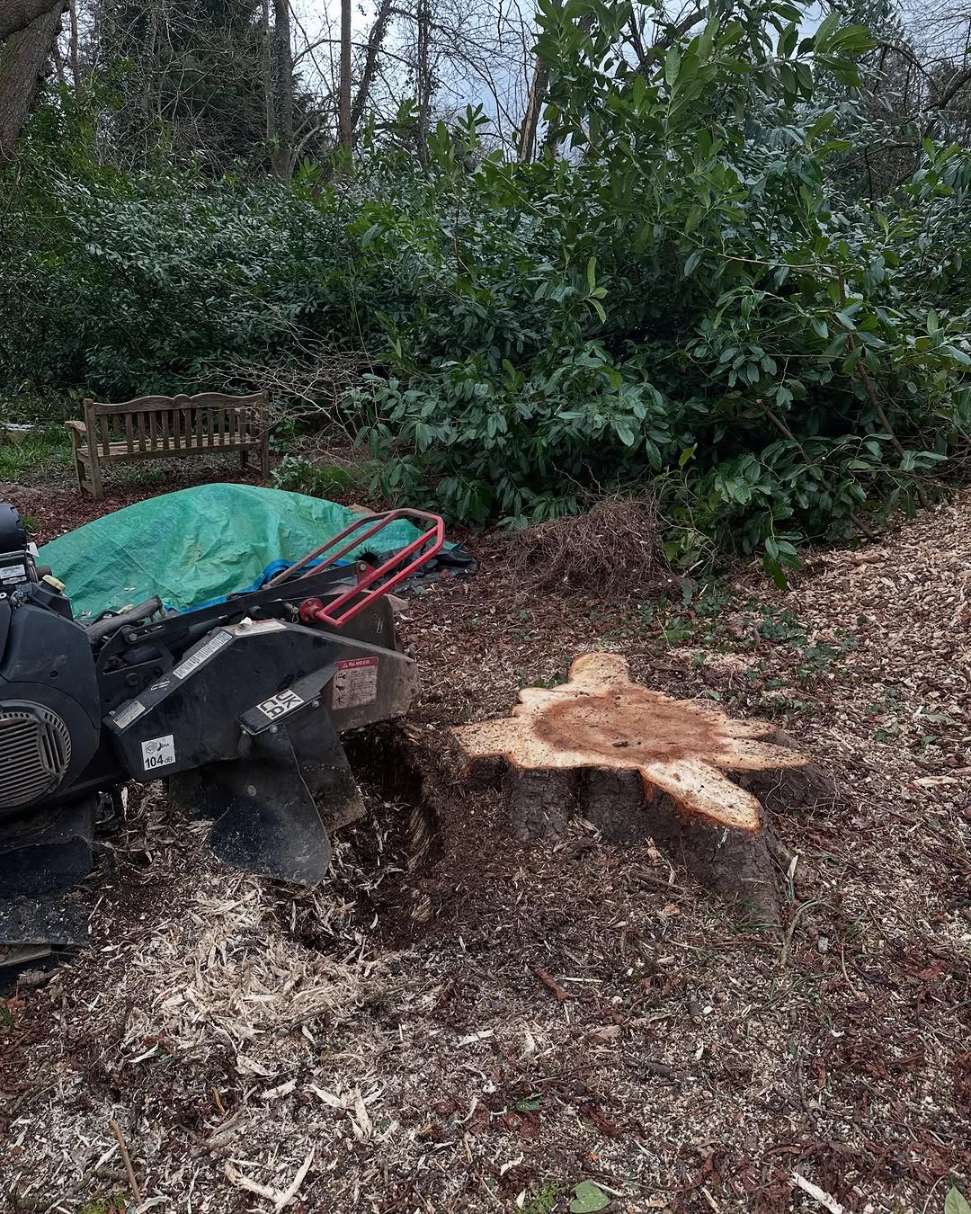 Crown Reshaping & Elite Pruning specialists in Reigate