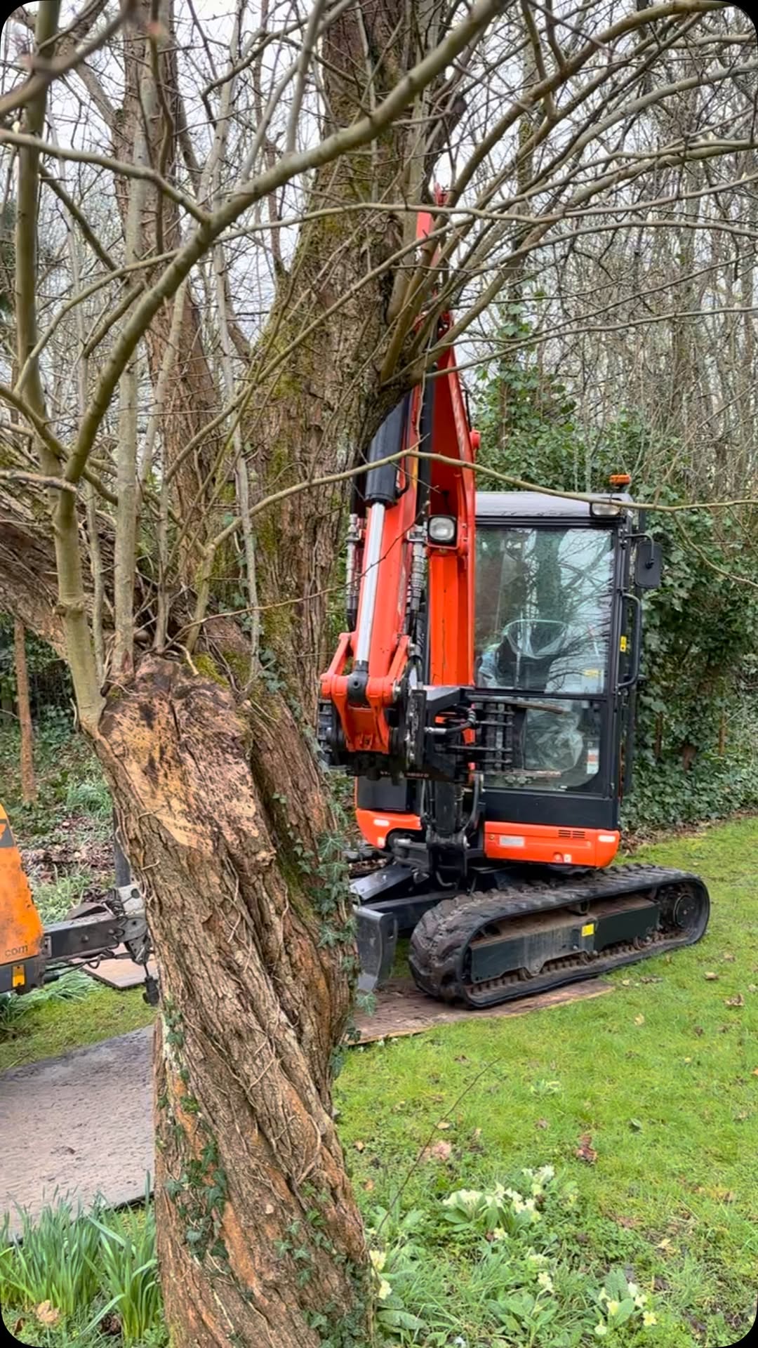 Mechanical Stump Grinding & Eradication specialists in Midhurst