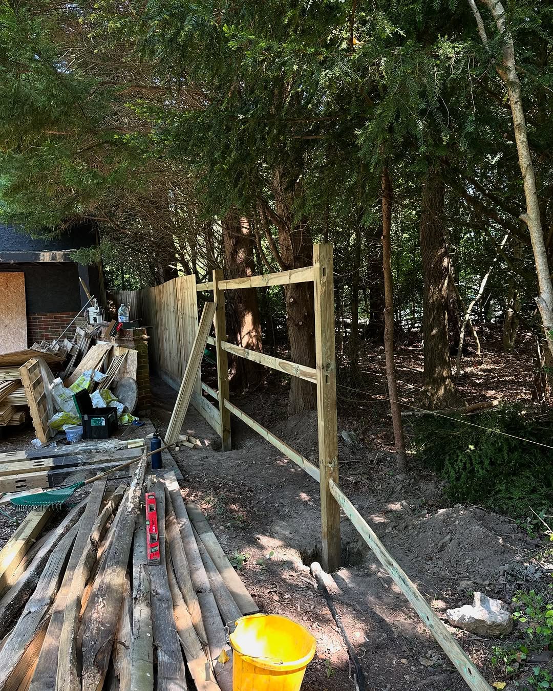 Expert Tree Pollarding specialists in Reigate