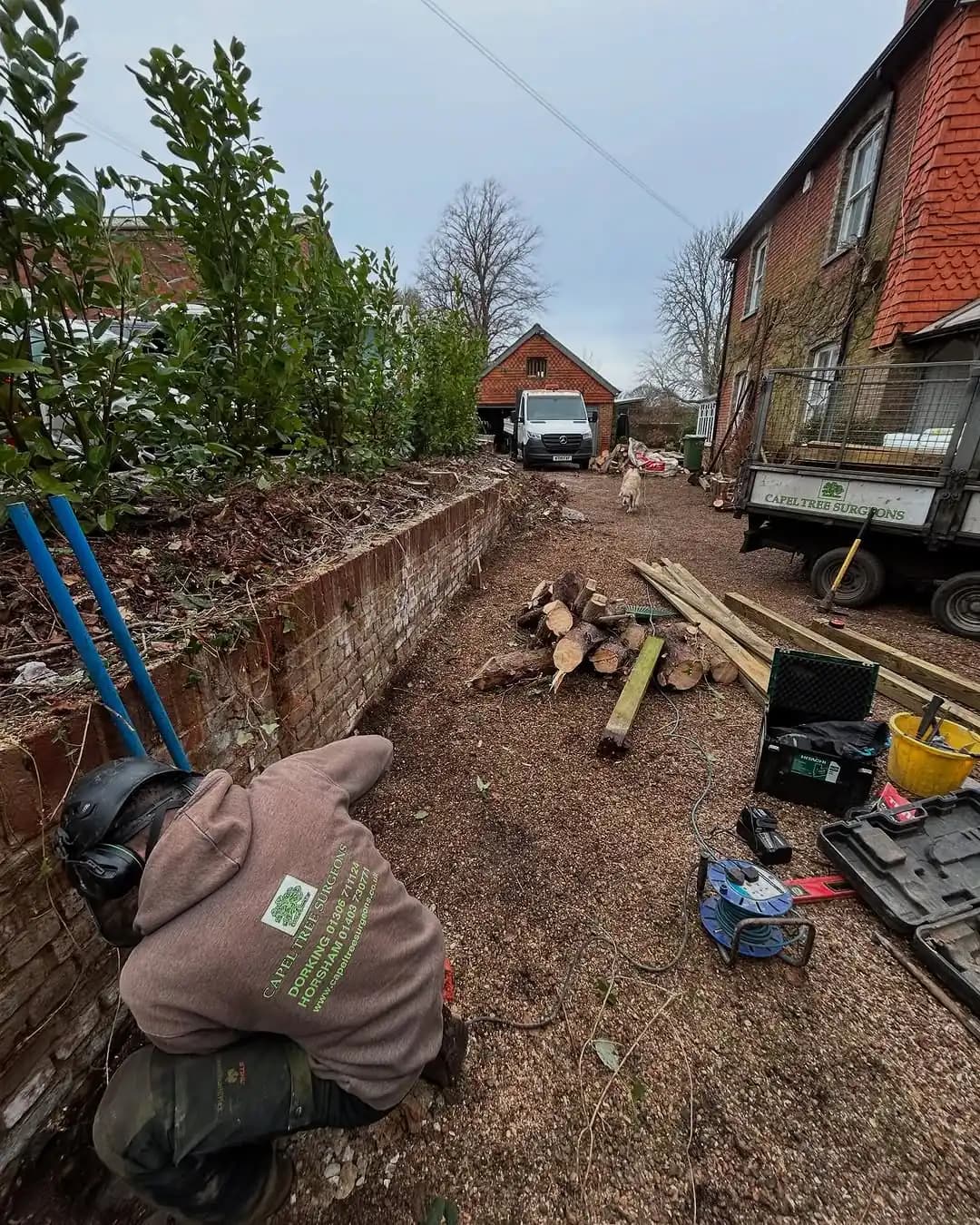 New timber boundary fencing installed by Capel Tree Surgeons