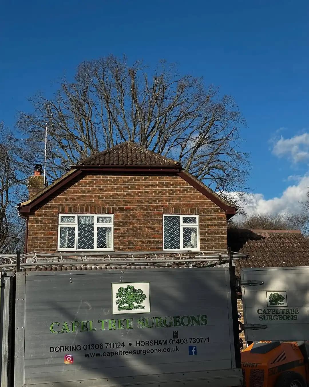 Pollarding and structural pruning work on a large tree - image 8