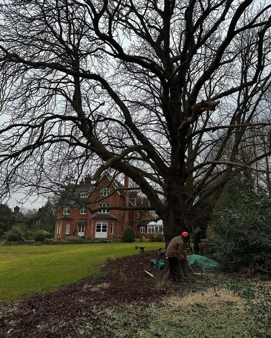 Tracked machinery and chipping setup on a grassed worksite - image 3