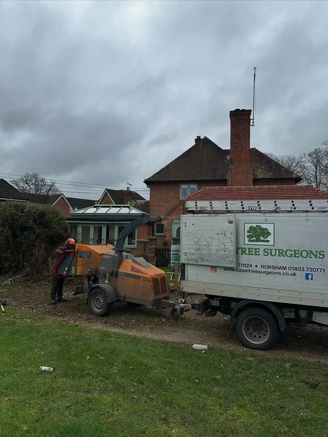 Stump grinding and site levelling after a removal job - image 2
