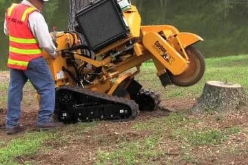Stump Grinding: Cost And How The Job Actually Works