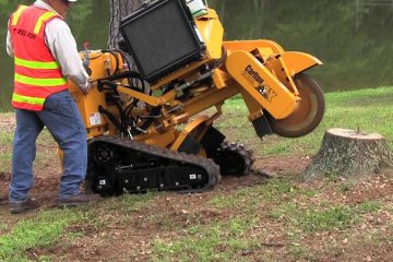 Stump grinding & stump removal